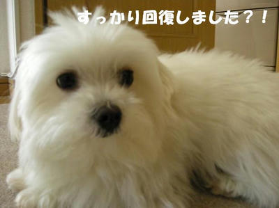 DSCN3498.JPG