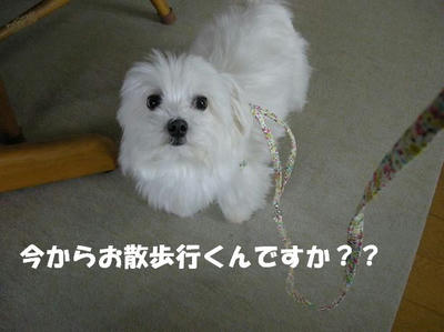 DSCN3718.JPG
