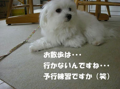 DSCN3719.JPG