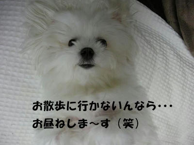 DSCN3723.JPG