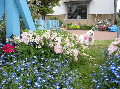 DSCN3790.JPG