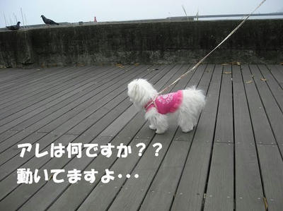 DSCN3810.JPG
