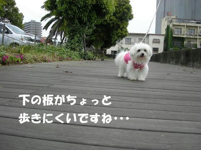 DSCN3817.JPG