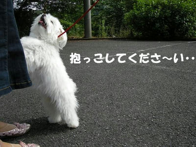 DSCN3824.JPG