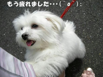 DSCN3825.JPG