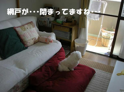 DSCN4976.JPG