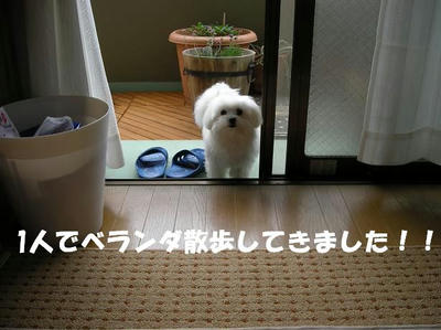 DSCN5021.JPG