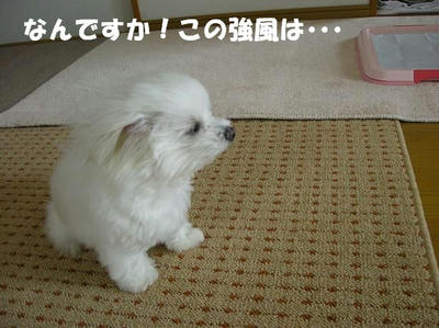 DSCN5046.JPG