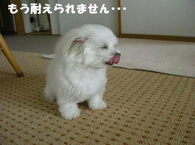 DSCN5049.JPG