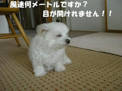 DSCN5051.JPG