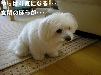 DSCN4996.JPG