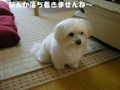 DSCN4998.JPG