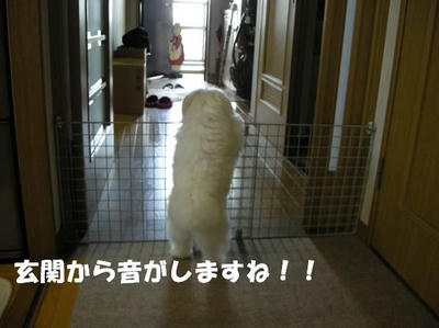 DSCN5023.JPG