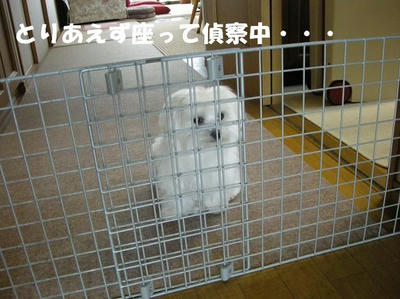 DSCN5027.JPG