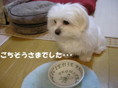 DSCN5067.JPG