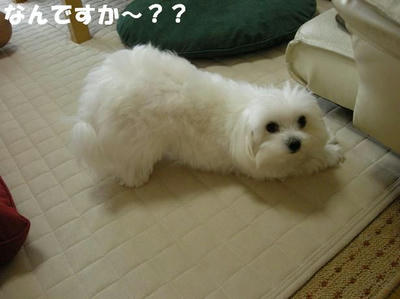 DSCN5069.JPG