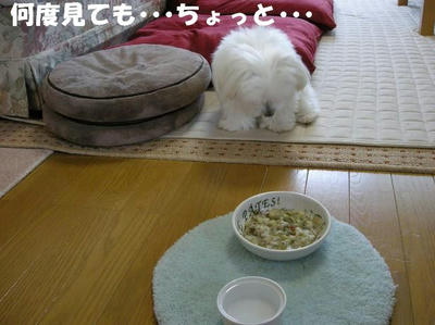DSCN5079.JPG