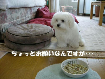 DSCN5083.JPG