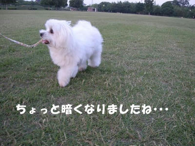 DSCN5095.JPG
