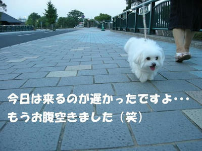 DSCN5103.JPG