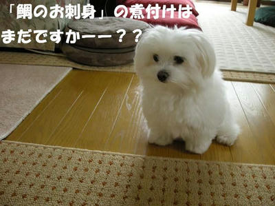 DSCN5111.JPG