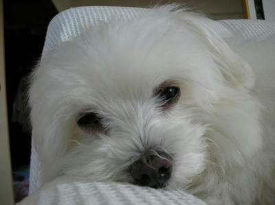 DSCN5135.JPG