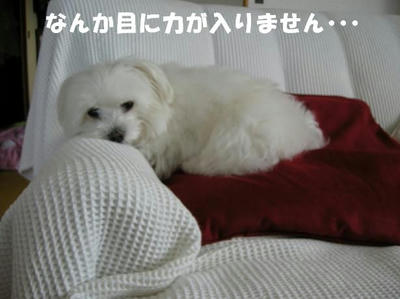 DSCN5138.JPG