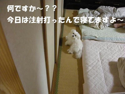 DSCN5141.JPG
