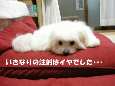 DSCN5143.JPG