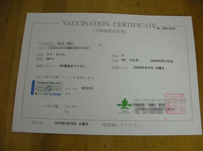 DSCN5150.JPG
