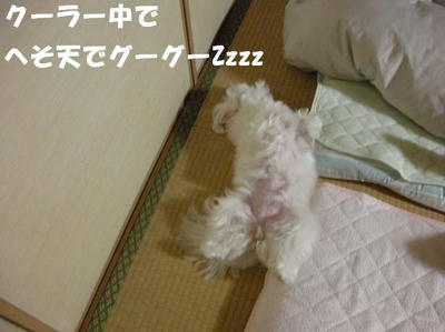 DSCN5012.JPG