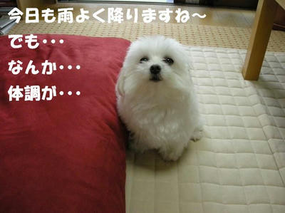 DSCN5059.JPG