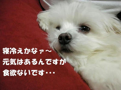 DSCN5087.JPG