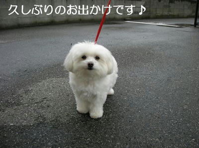 DSCN5680.JPG