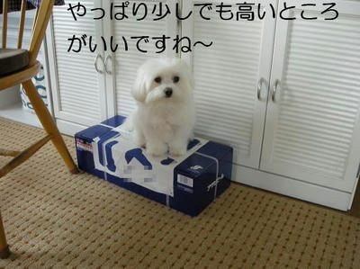 DSCN5696.JPG