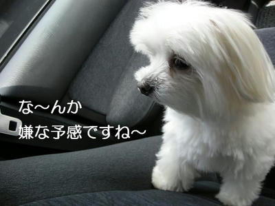 DSCN5687.JPG