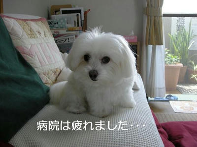 DSCN5708.JPG