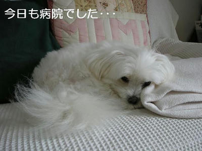DSCN5713.JPG