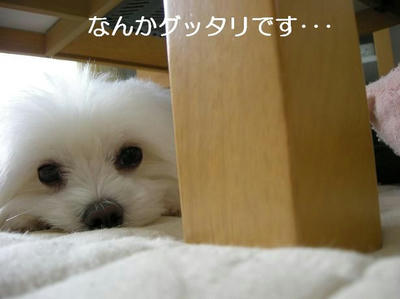 DSCN5717.JPG