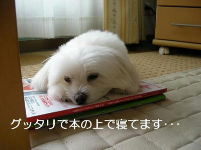 DSCN5724.JPG