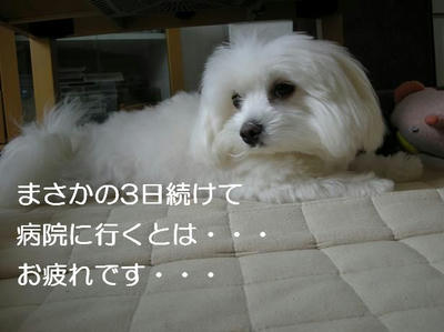 DSCN5716.JPG