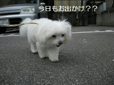 DSCN5731.JPG