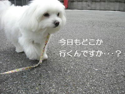 DSCN5734.JPG