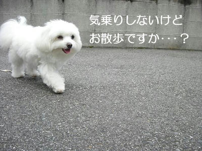 DSCN5735.JPG