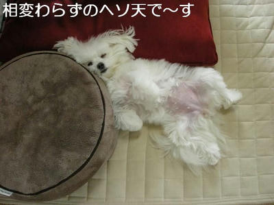 DSCN5742.JPG