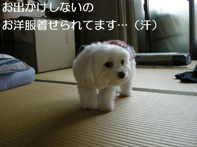 DSCN5752.JPG