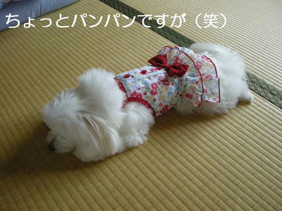 DSCN5756.JPG