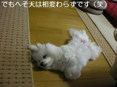 DSCN5787.JPG