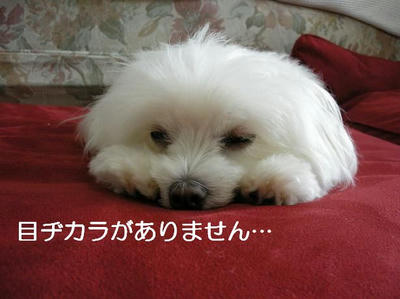 DSCN5814.JPG
