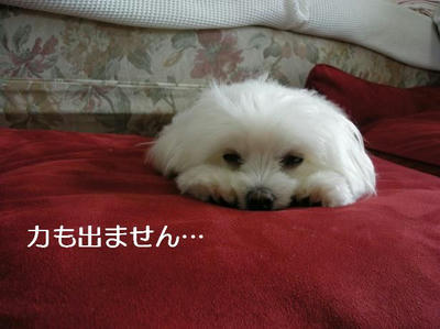 DSCN5818.JPG